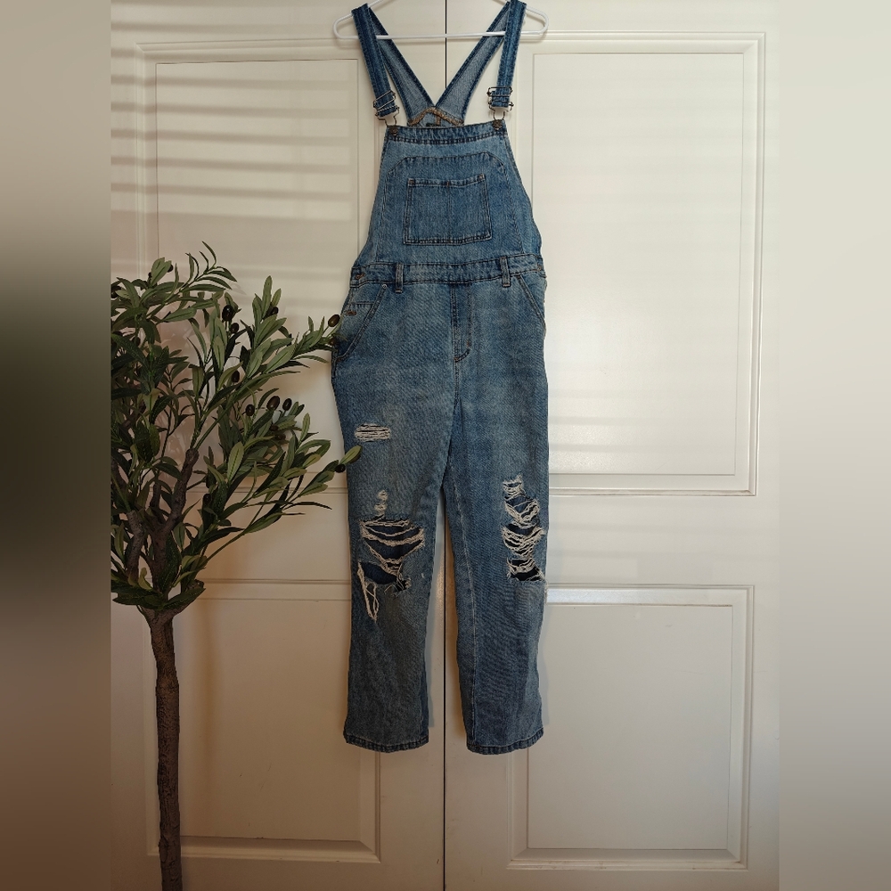 Wild Fable Distressed Overalls